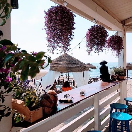 B&B Purple Italy Φιουμιτσίνο Εξωτερικό φωτογραφία
