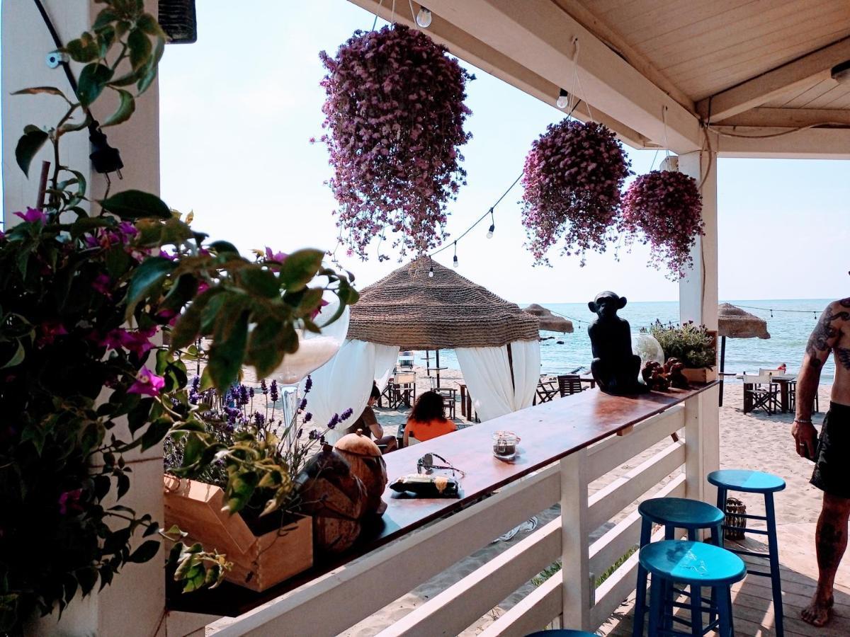 B&B Purple Italy Φιουμιτσίνο Εξωτερικό φωτογραφία